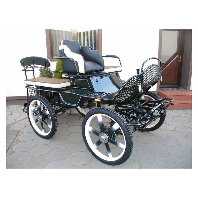 voiture attelage chevaux ou anes