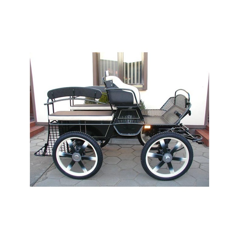 voiture attelage chevaux ou anes