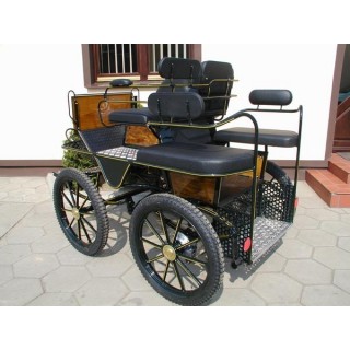voiture attelage marathon loisir pour poney ane chevaux