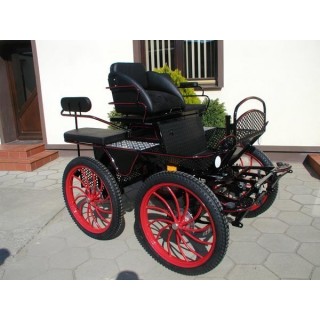 voiture attelage marathon loisir pour poney ane chevaux