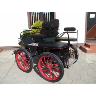 voiture attelage marathon loisir pour poney ane chevaux