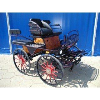 voiture attelage marathon loisir pour poney ane chevaux