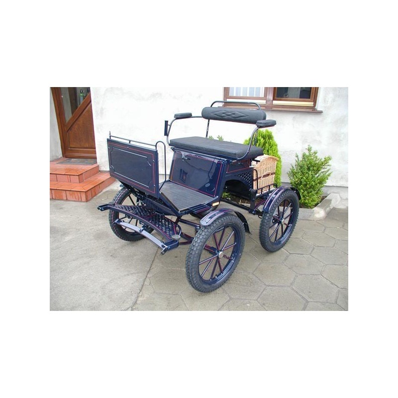 voiture attelage marathon loisir poneys et anes