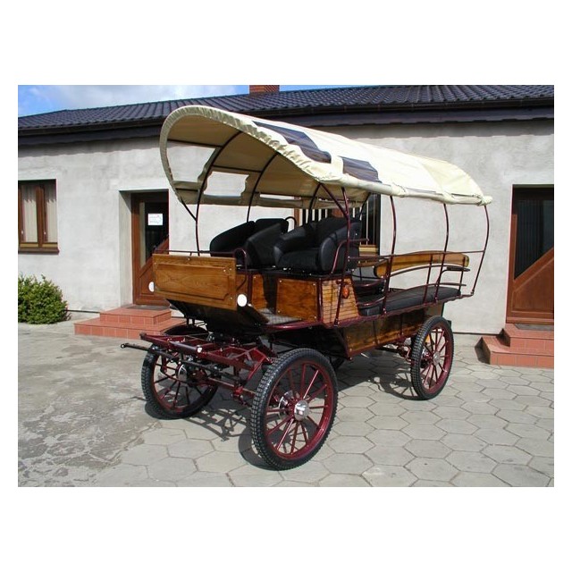 voiture wagonnette chevaux
