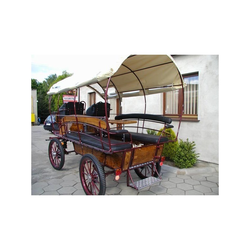 voiture wagonnette chevaux