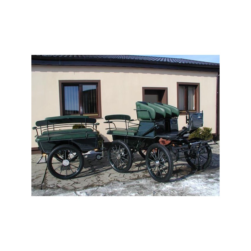 voiture hippomobile wagonnette pour attelelage de chevaux