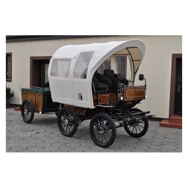 voiture wagonnette avec toit pour atteler chevaux