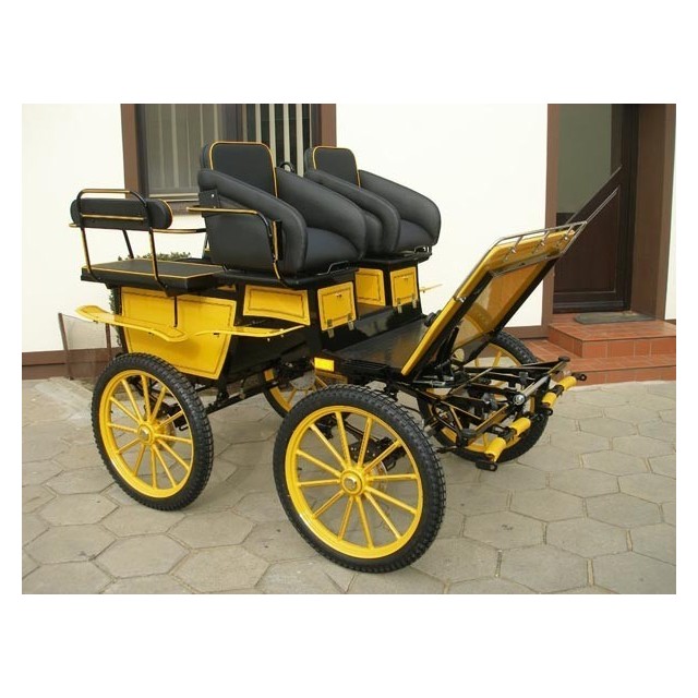 voiture hippomobile wagonnette école pour atteler des poneys