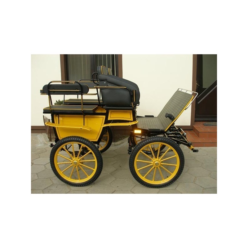 voiture hippomobile wagonnette école pour atteler des poneys
