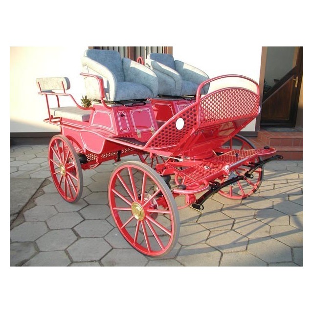 voiture marathon training ecole pour chevaux dominiak