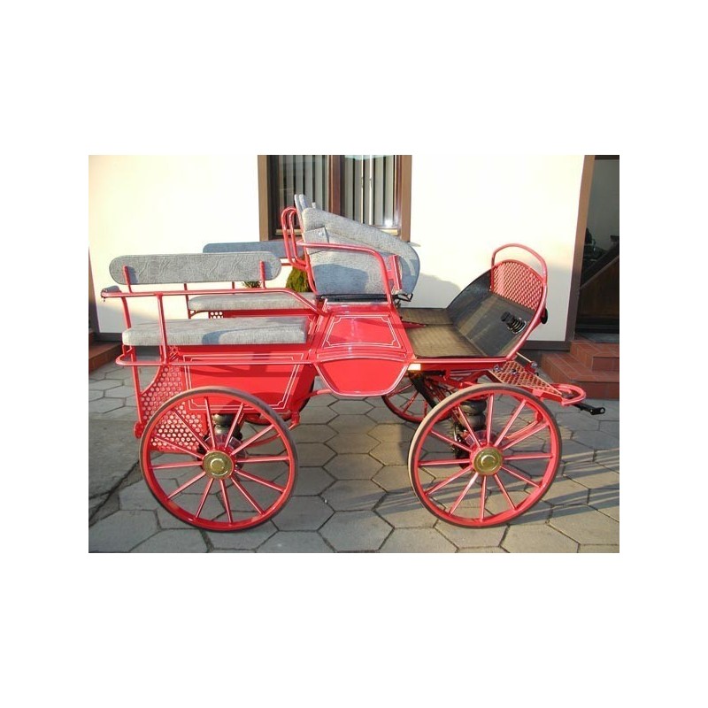 voiture marathon training ecole pour chevaux dominiak