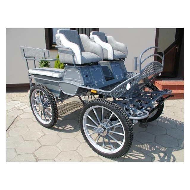 voiture marathon training ecole pour chevaux dominiak