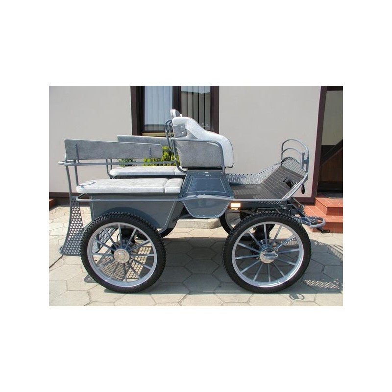 voiture marathon training ecole pour chevaux dominiak