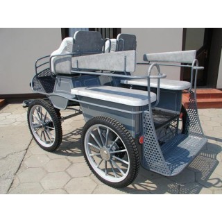 voiture marathon training ecole pour chevaux dominiak