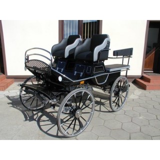voiture marathon training ecole pour chevaux dominiak