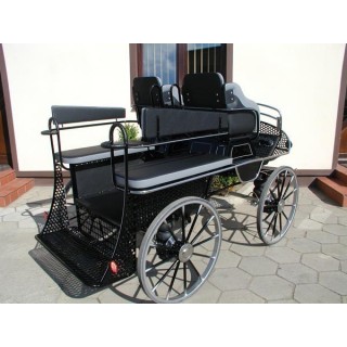 voiture marathon training ecole pour chevaux dominiak
