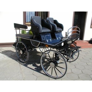 voiture marathon training ecole pour chevaux dominiak