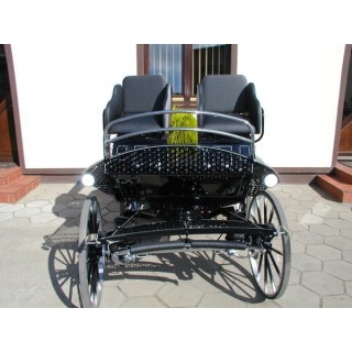 voiture marathon training ecole pour chevaux dominiak