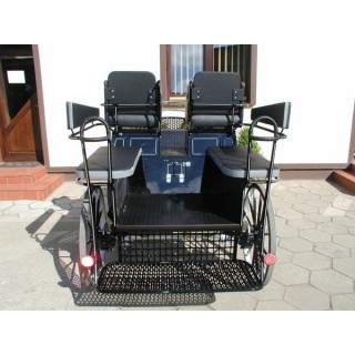voiture marathon training ecole pour chevaux dominiak