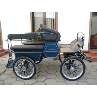 voiture marathon training ecole pour chevaux dominiak