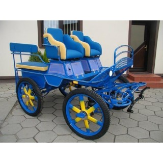 voiture marathon training ecole pour chevaux dominiak