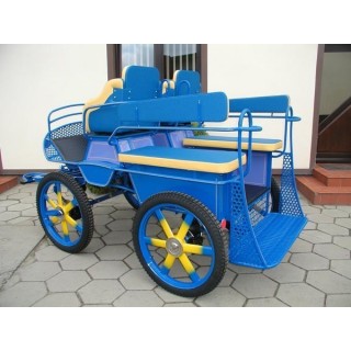 voiture marathon training ecole pour chevaux dominiak