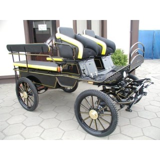 voiture marathon training ecole pour chevaux dominiak