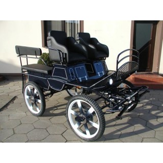 voiture marathon training ecole pour chevaux dominiak