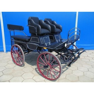 voiture marathon training ecole pour chevaux dominiak