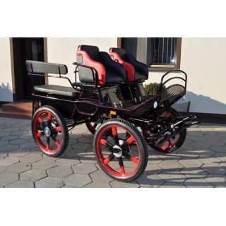 voiture marathon training ecole pour chevaux dominiak