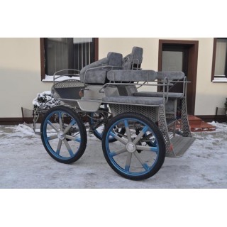 voiture marathon training ecole pour chevaux dominiak