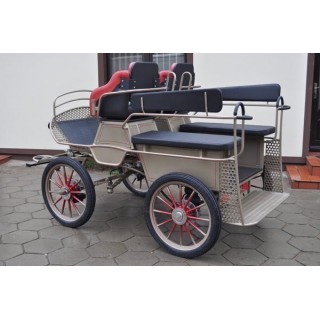 voiture marathon training ecole pour chevaux dominiak