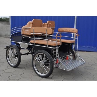 voiture marathon training ecole pour chevaux dominiak