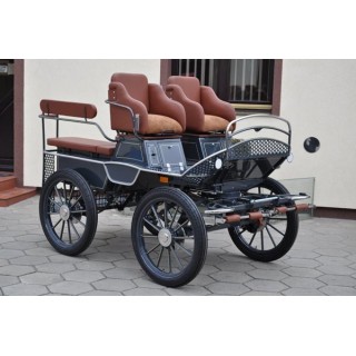 voiture marathon training ecole pour chevaux dominiak