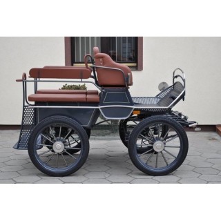 voiture marathon training ecole pour chevaux dominiak
