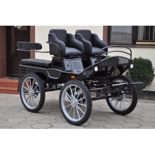 voiture marathon training ecole pour chevaux dominiak