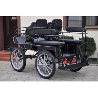 voiture marathon training ecole pour chevaux dominiak