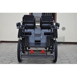 voiture marathon training ecole pour chevaux dominiak