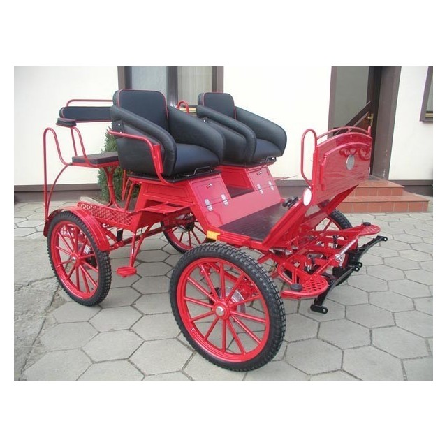 voiture attelage marathon training ecole