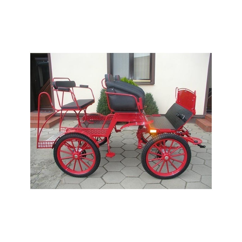 voiture attelage marathon training ecole