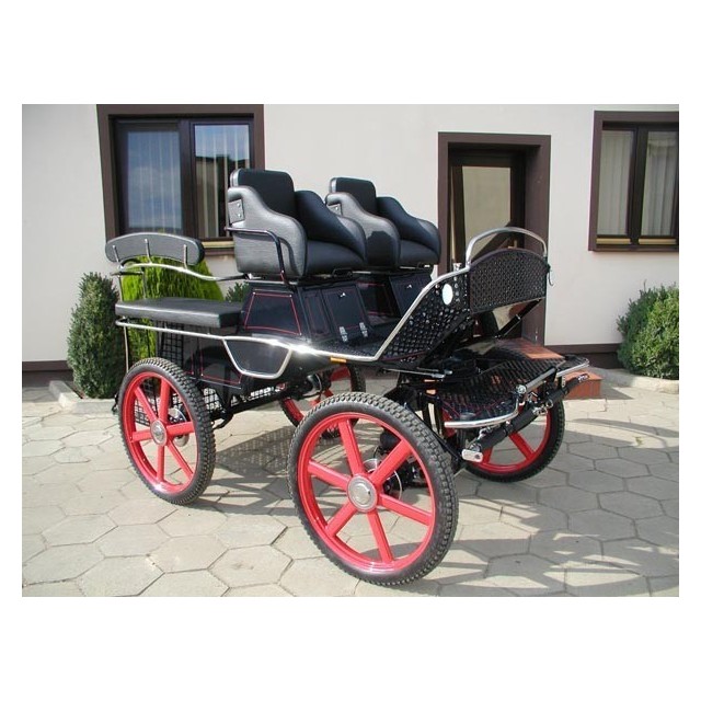 voiture hippomobile ecole attelage