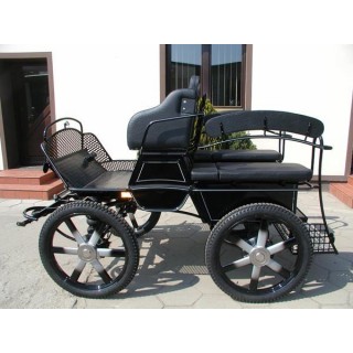 voiture hippomobile ecole attelage