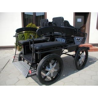 voiture hippomobile ecole attelage