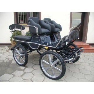 voiture hippomobile ecole attelage