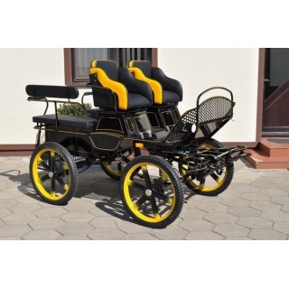 voiture hippomobile ecole attelage