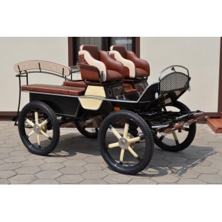 voiture hippomobile ecole attelage