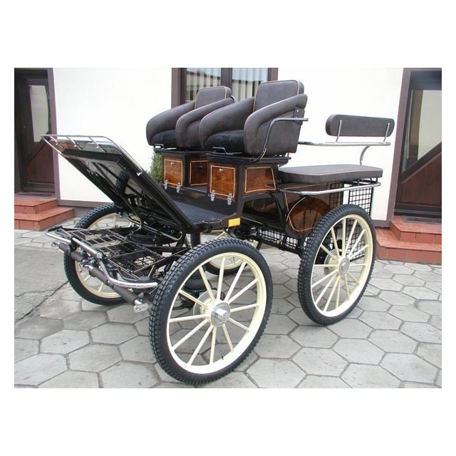 voiture hippomobile marathon training pour ecole attelage
