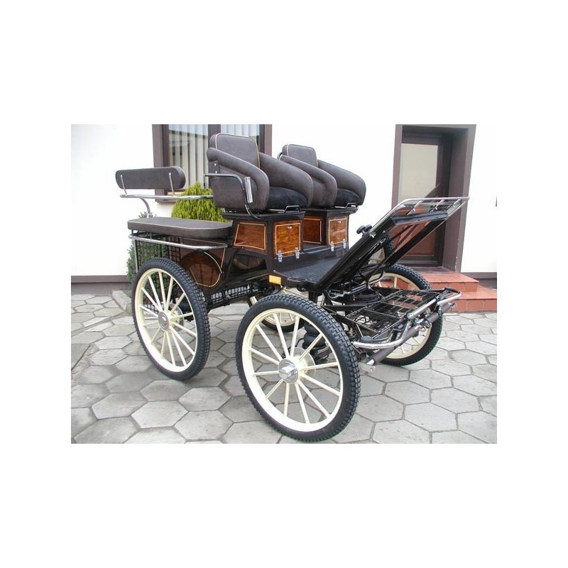 voiture hippomobile marathon training pour ecole attelage