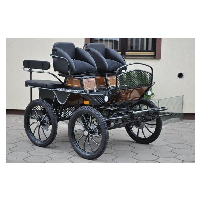 voiture d'attelage training loisir
