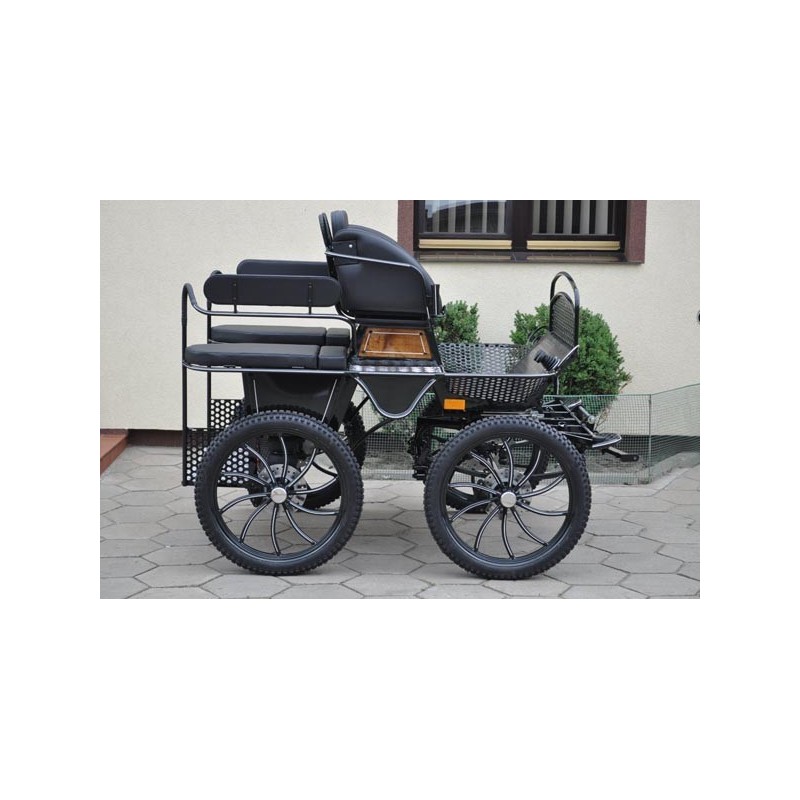 voiture attelage marathon training ecole pour poney ou anes